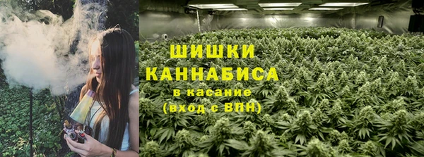 PSILOCYBIN Армянск