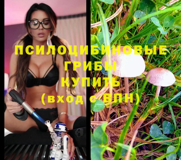 синтетический гашиш Арсеньев